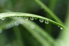 梅雨の大敵、自律神経の矛盾